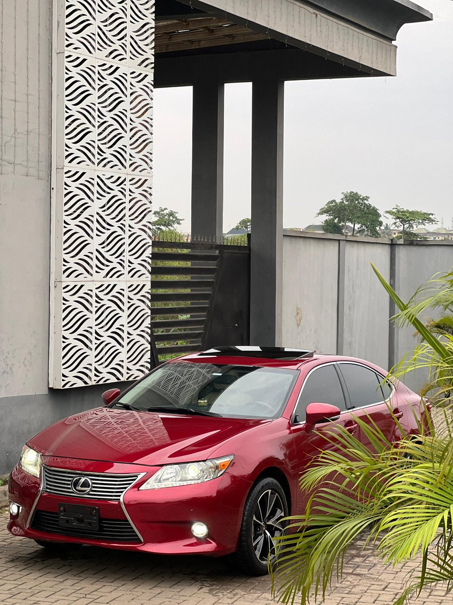 OWELLE🦅 tweet media