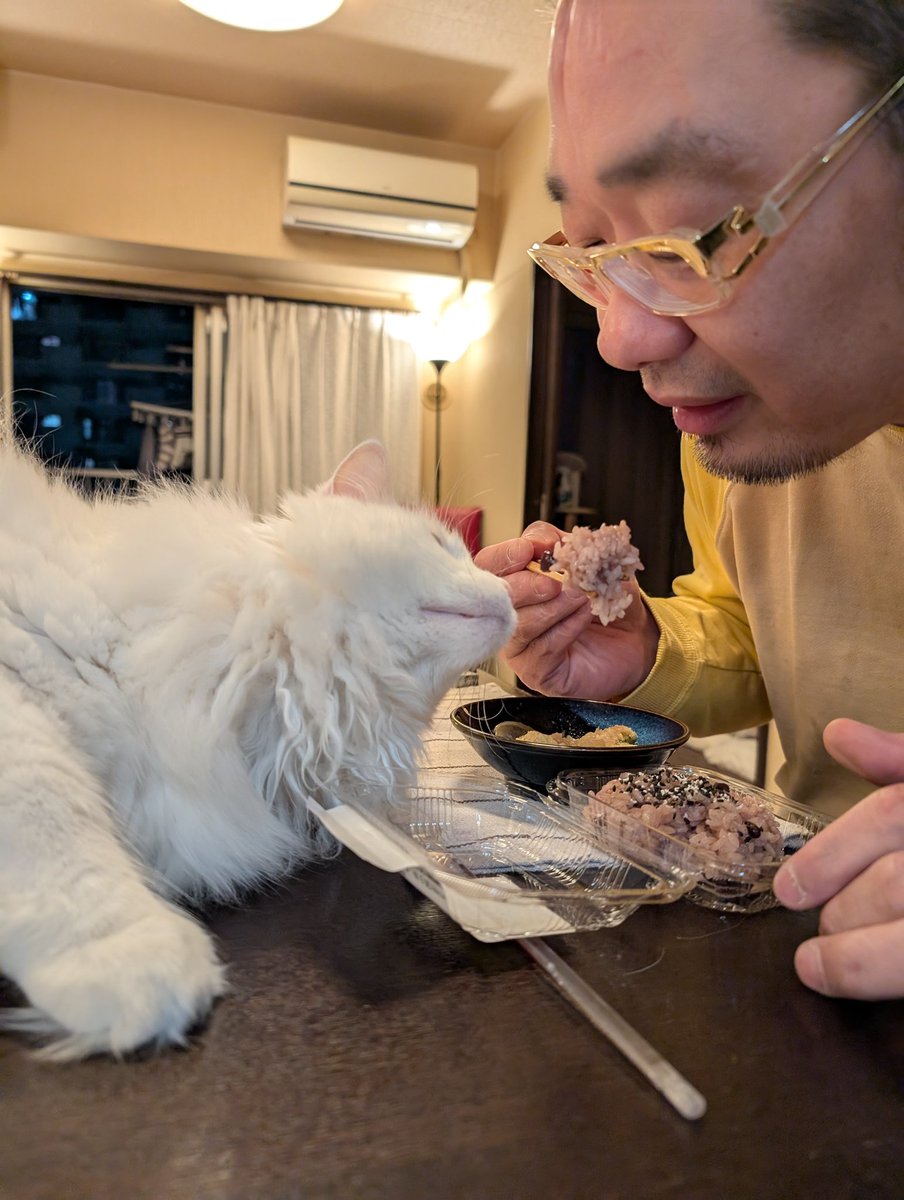 佐藤耕平 tweet media