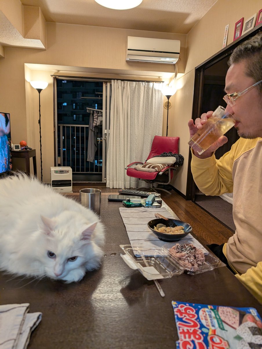 佐藤耕平 tweet media