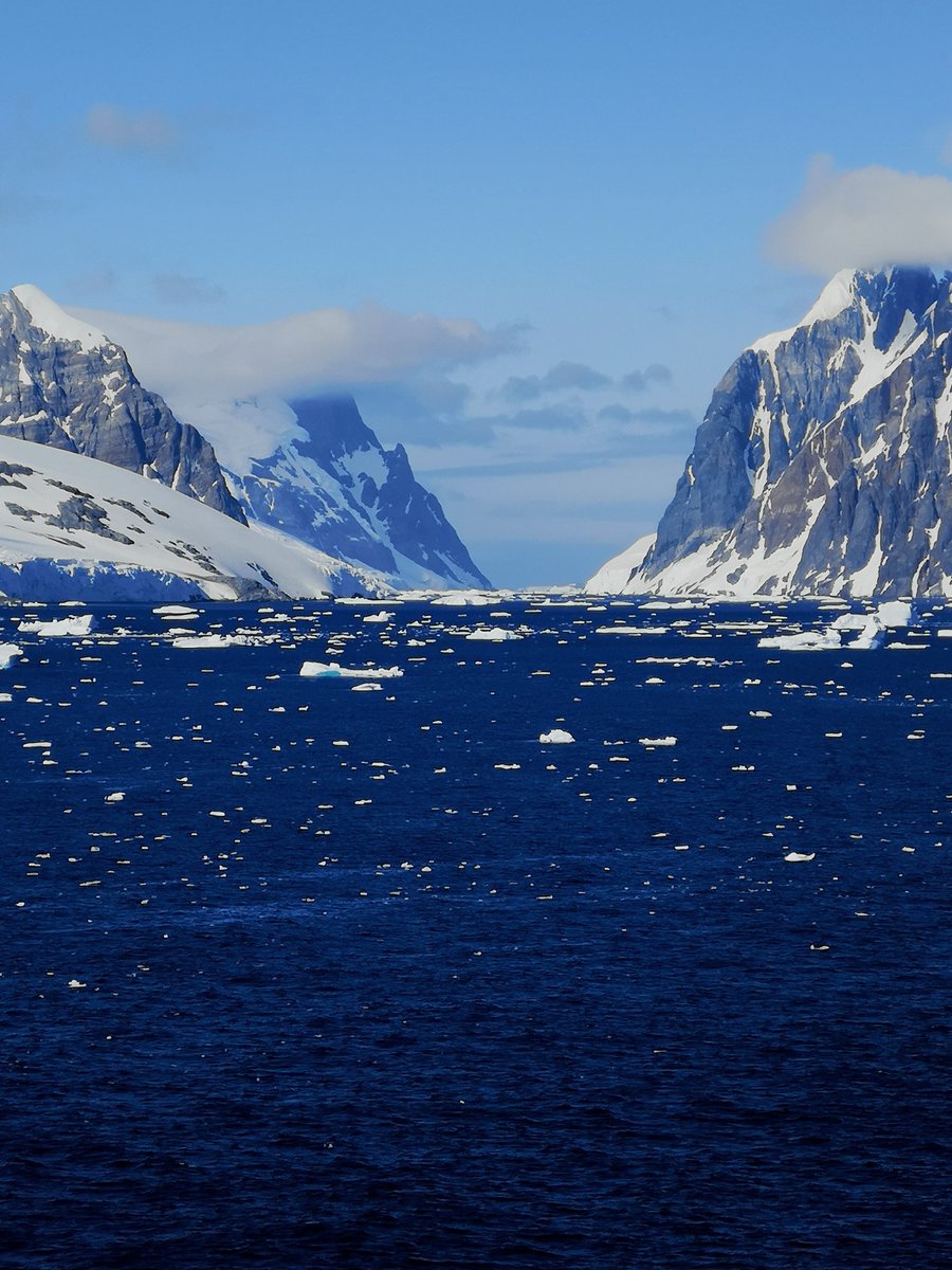 Jew in a Canoe ✡️🇨🇦 memoir now available! tweet media