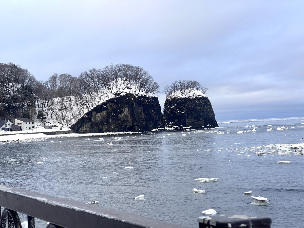 🎀あばしりYouTuber@Solareみっちゃん🎀 tweet media