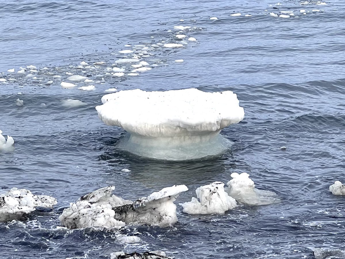 🎀あばしりYouTuber@Solareみっちゃん🎀 tweet media