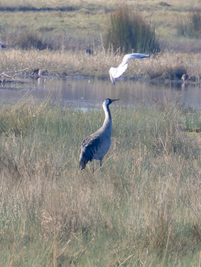 Pete Sutton tweet media