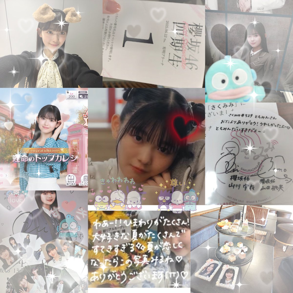 ﾄﾓﾐﾝ tweet media