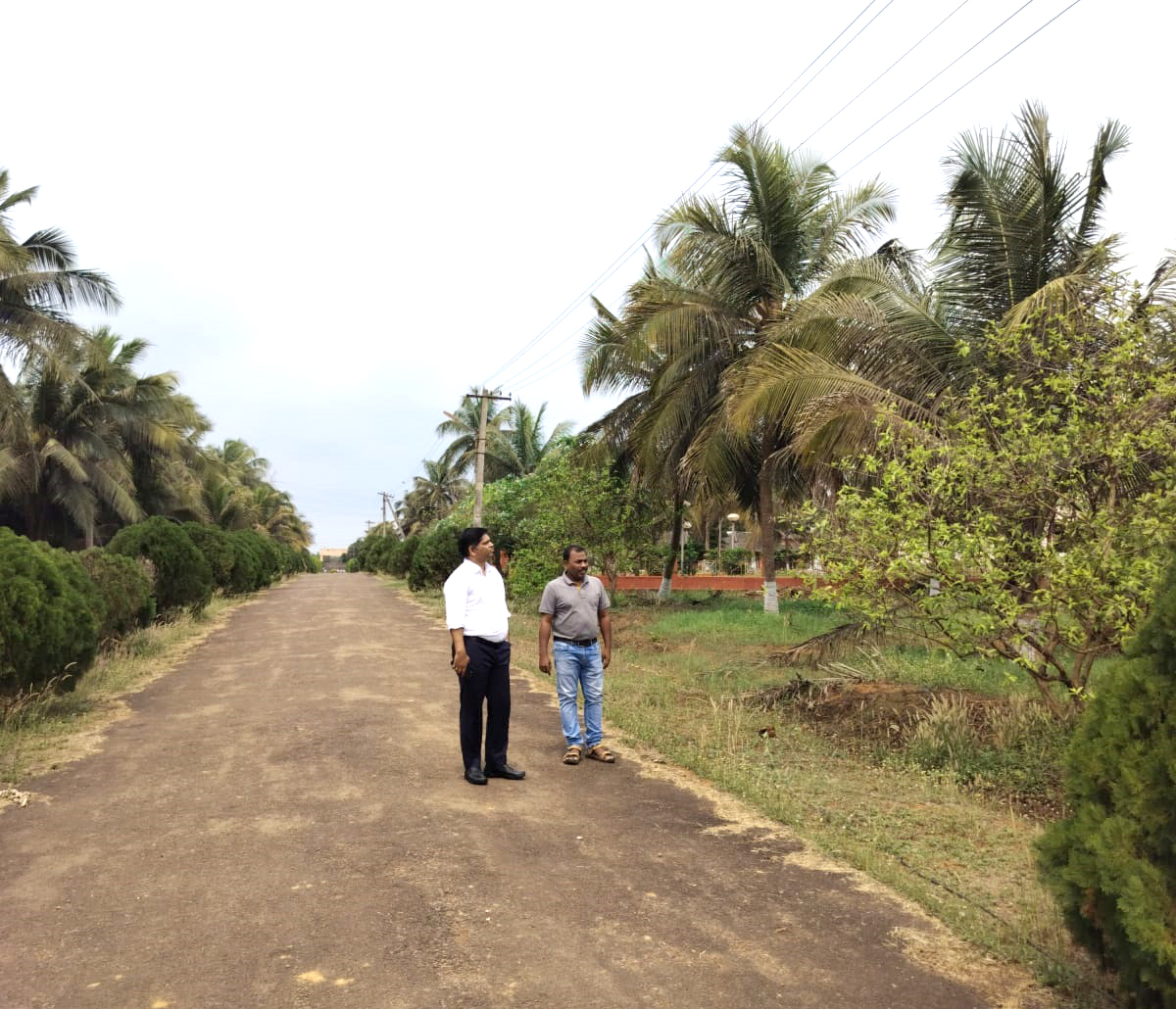 Coconut Development Board, Government of India tweet media