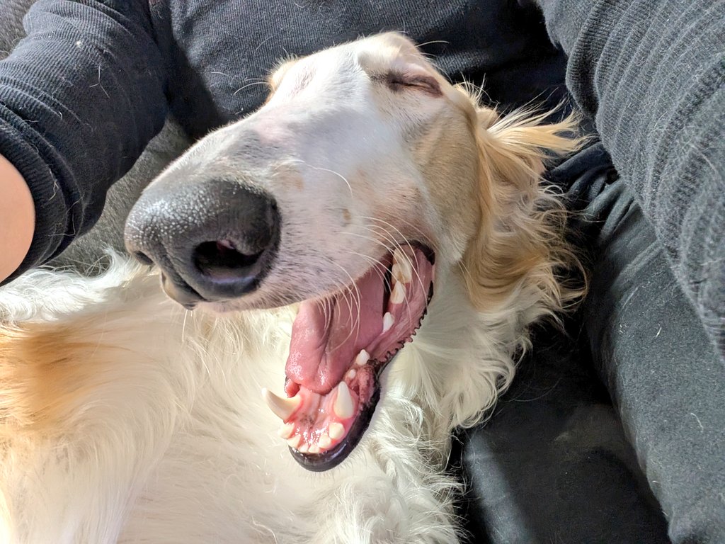 弁護士 小林航太 tweet media