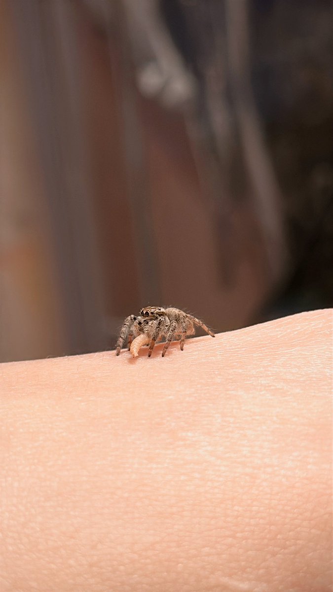 식자재마트 tweet media