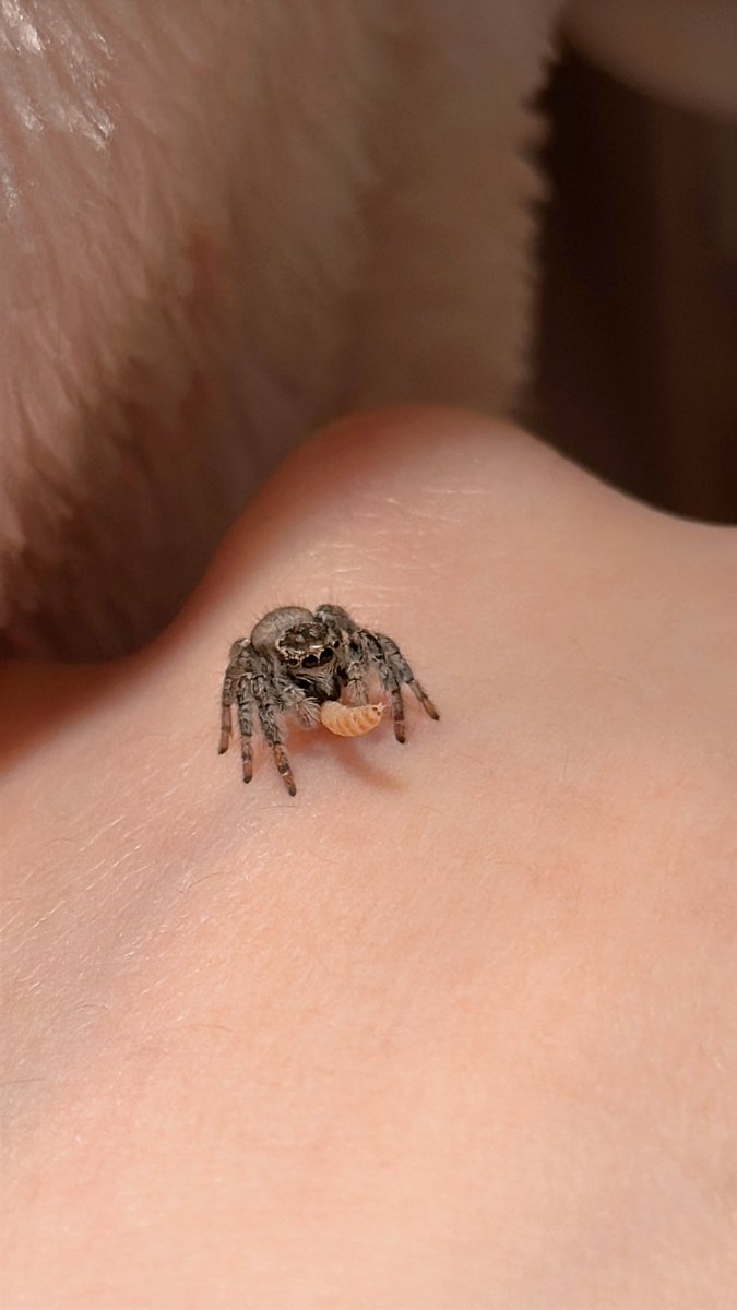 식자재마트 tweet media