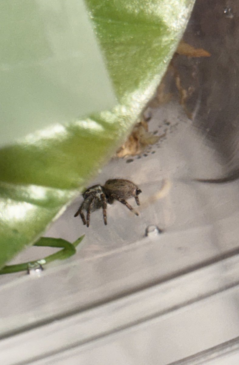 식자재마트 tweet media