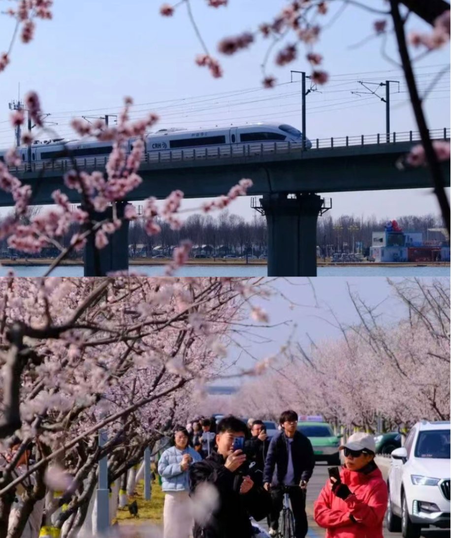 Enjoy Hebei tweet media