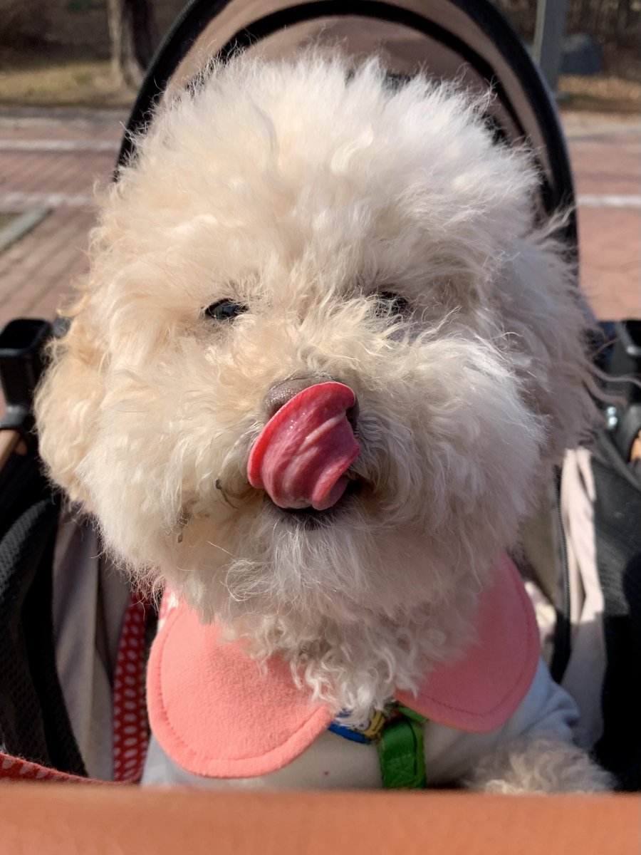 변경 가능한 티켓 tweet media