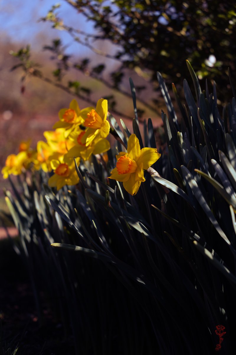 Anna Hitrova tweet media