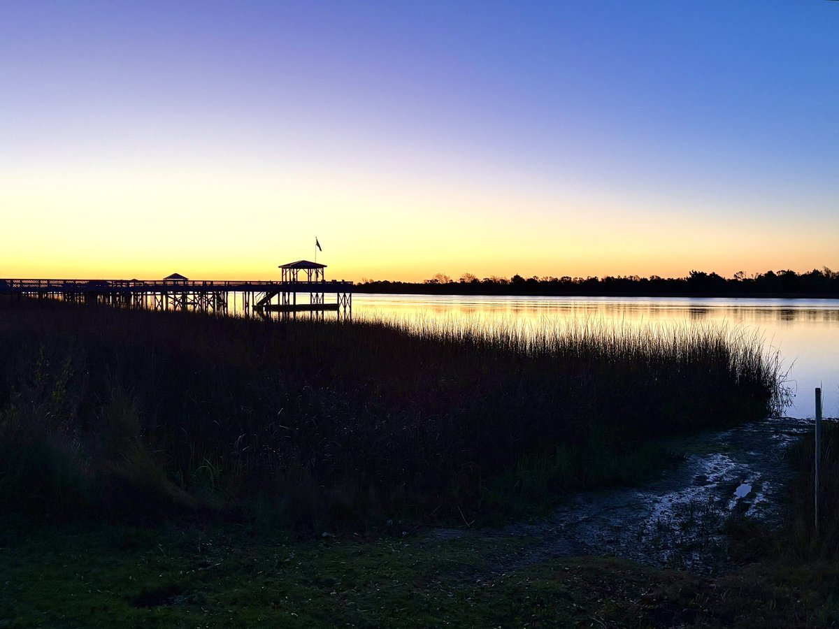 Mark Moore tweet media