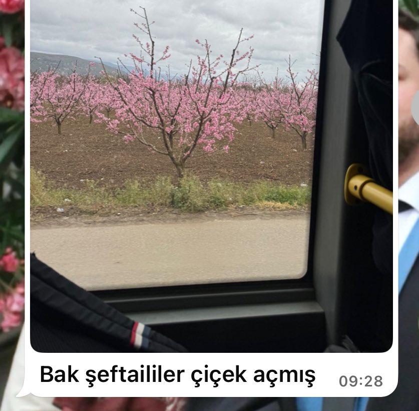 güzel bir şey görünce onun da görmesini istemek..benim sevgi dilidir
