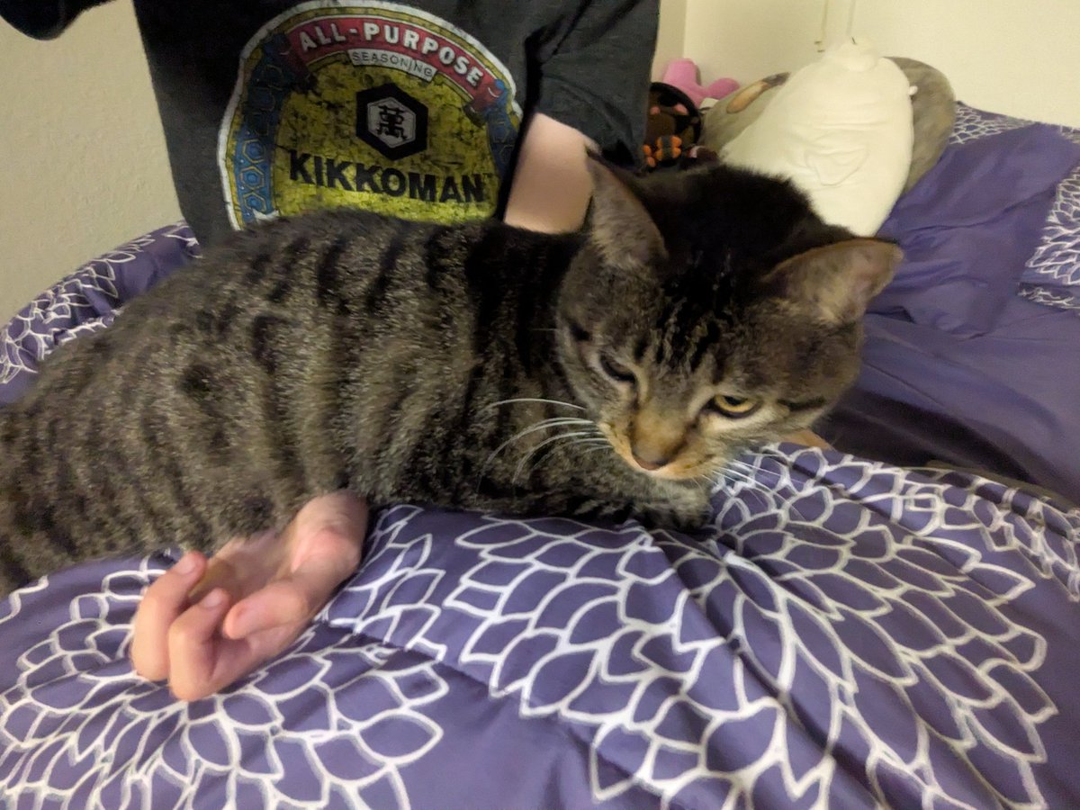 marci the swag lord tweet media