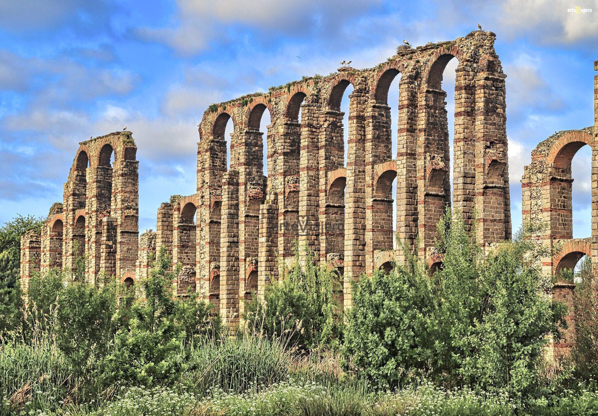 ArteViajero tweet media