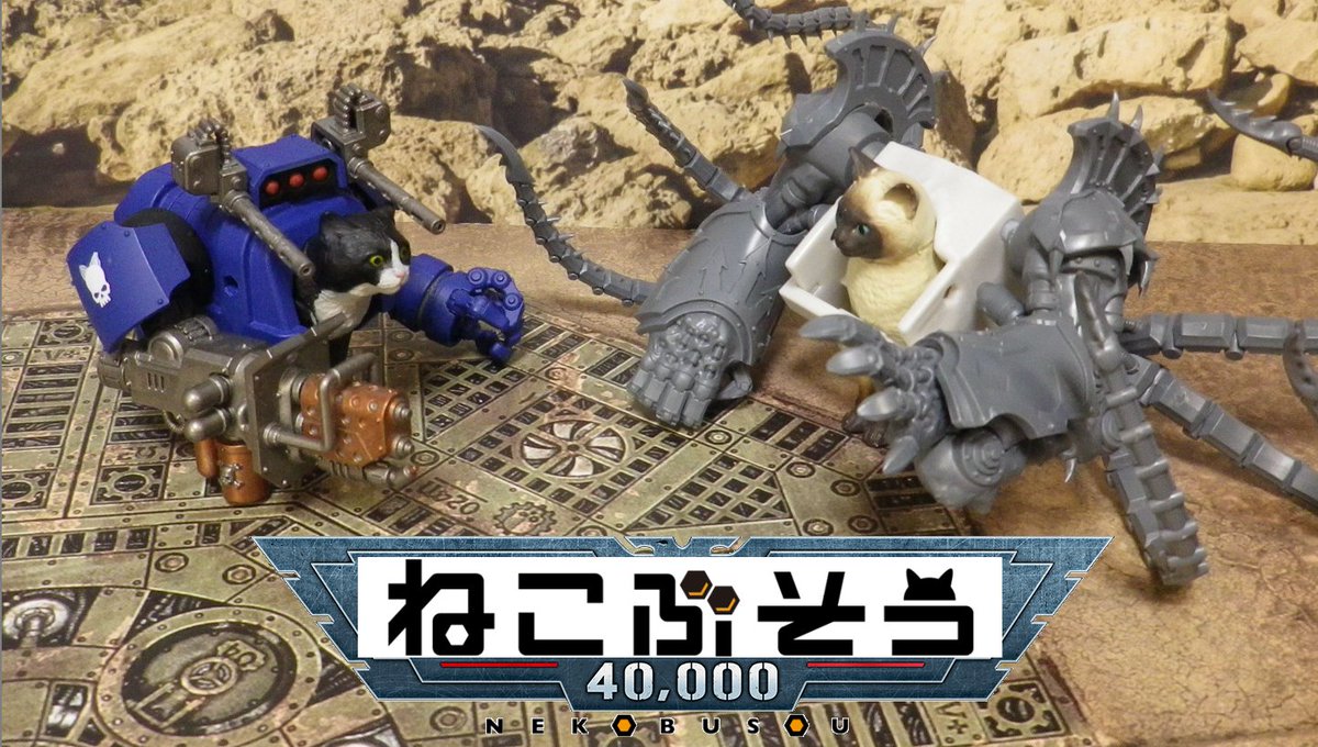 🐈Me-U🐈🦫 tweet media