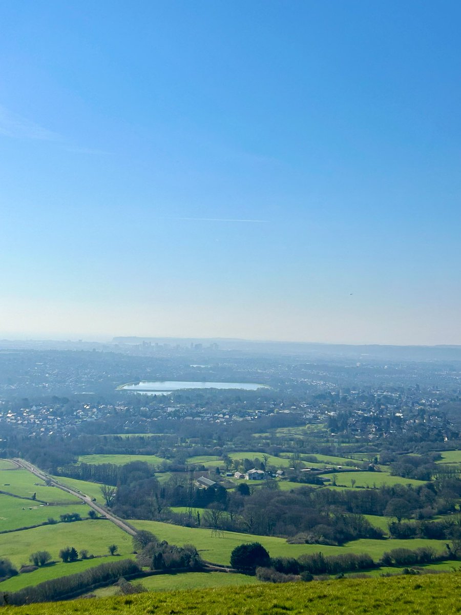 Jane Sarah Matthews tweet media