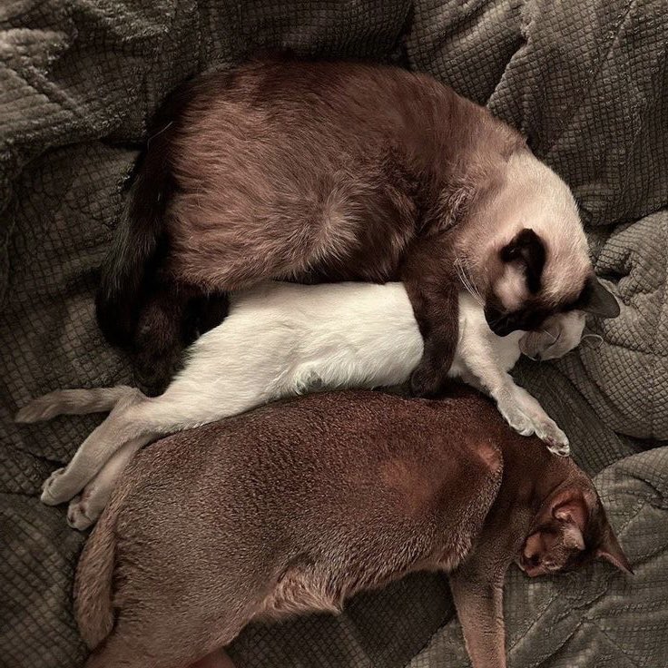 55555555555555555555 พวกกลมๆลดนนเหอะ คนเล็กโดนเหมารวม