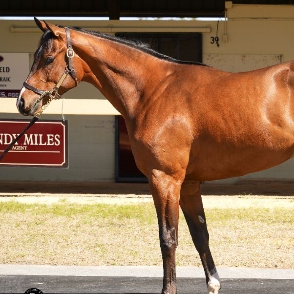 URacingStables tweet media