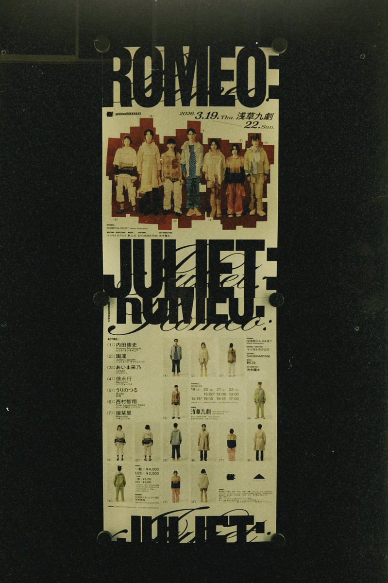 小練ネコ tweet media