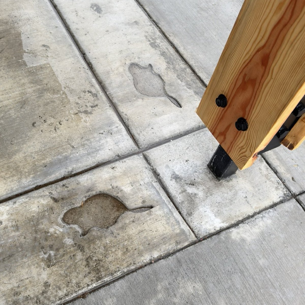 Beaver Mountain tweet media