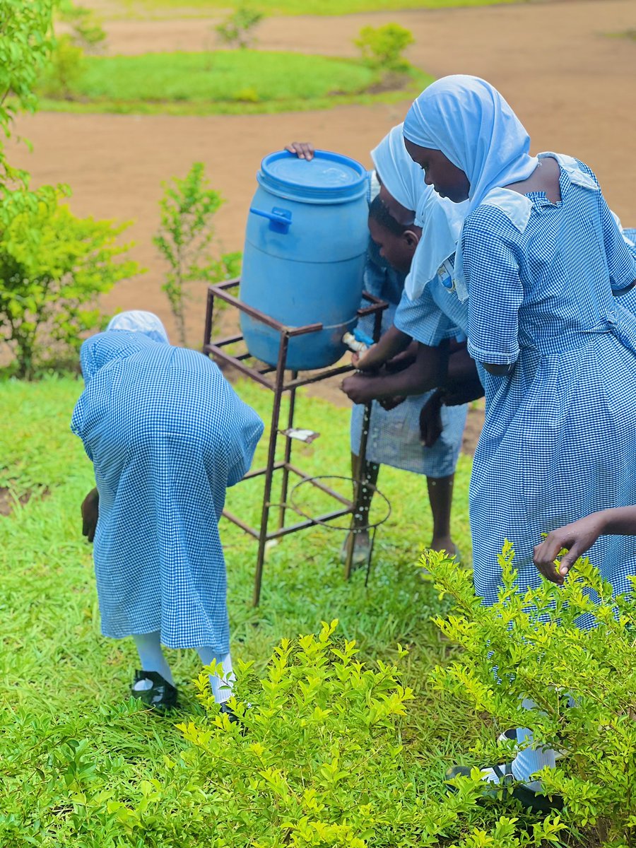 Iganga University Students and Youth Association tweet media