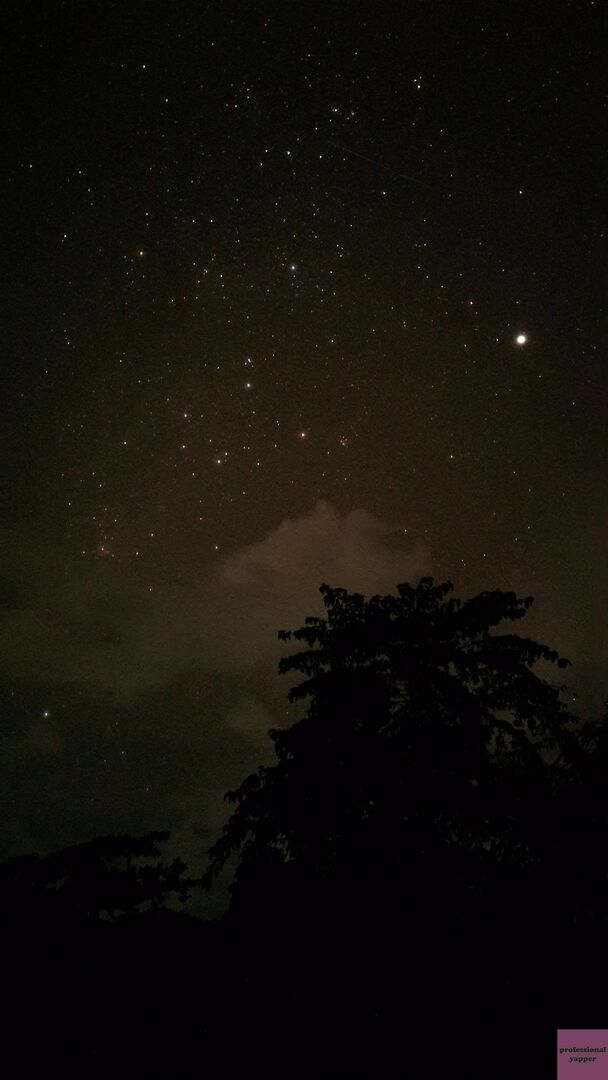 YAPPINGFESS tweet media