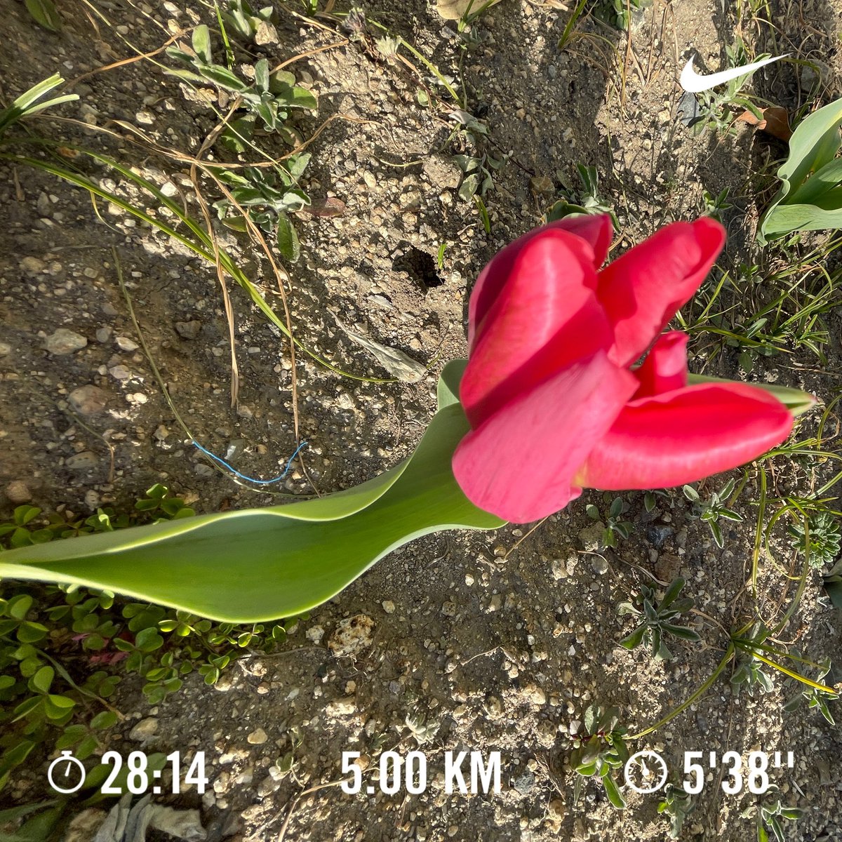 Shinta-Low tweet media