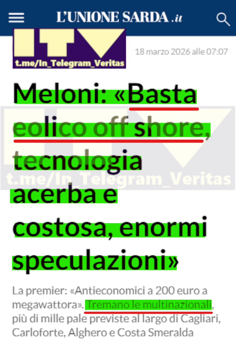 Elisabetta B. tweet media