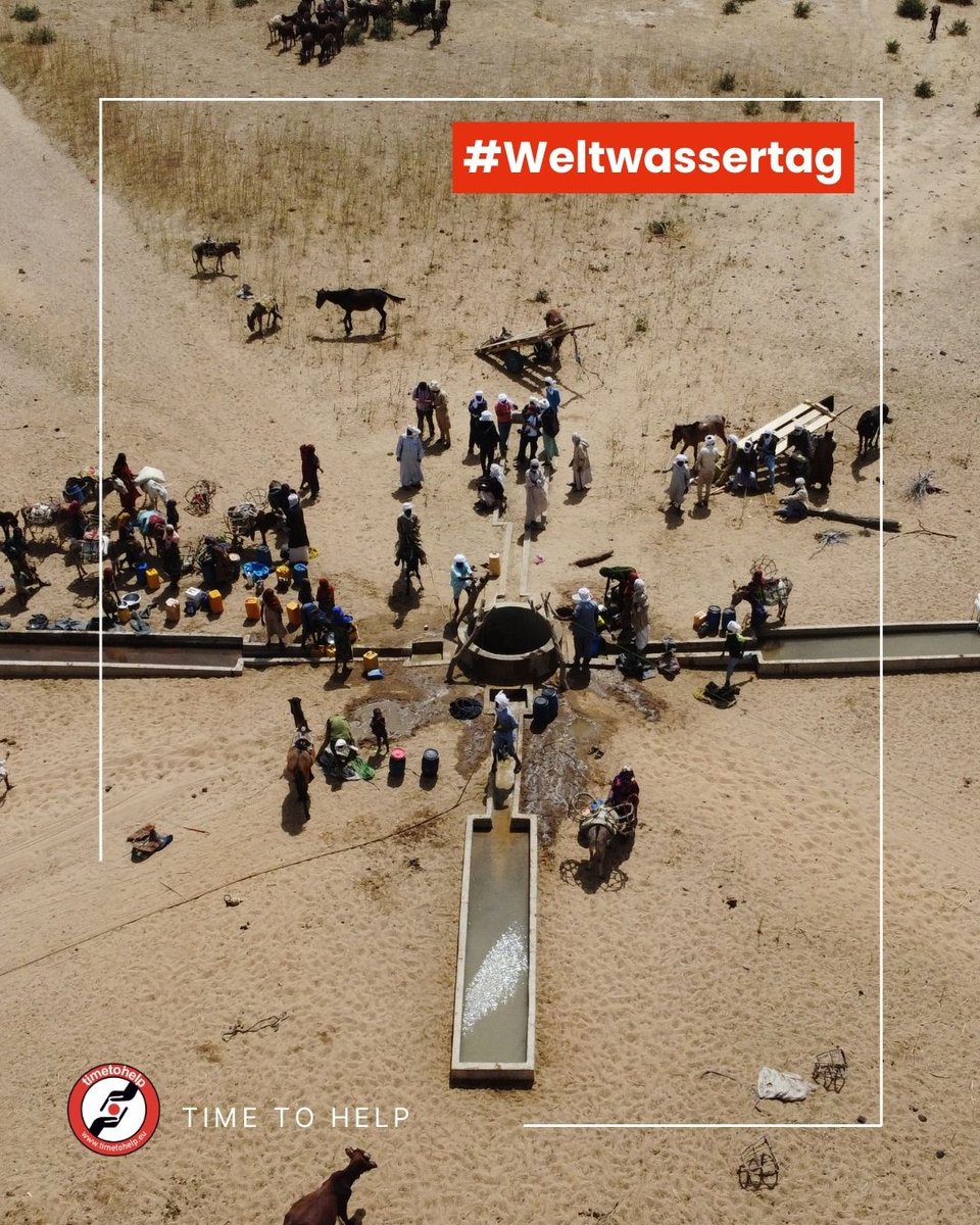 TimeToHelp e.V. tweet media