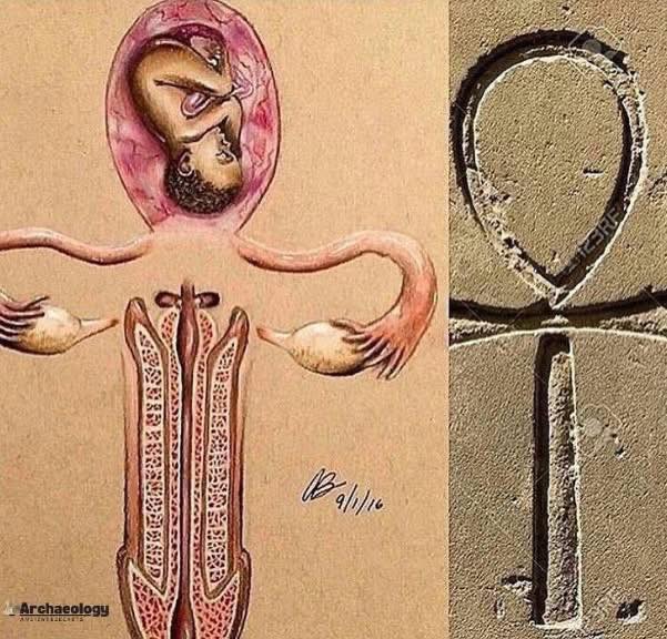 JoshinthePhils tweet media