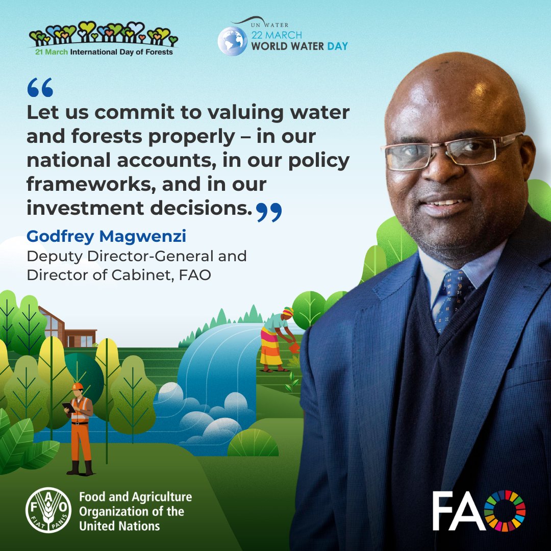 FAO Forestry tweet media