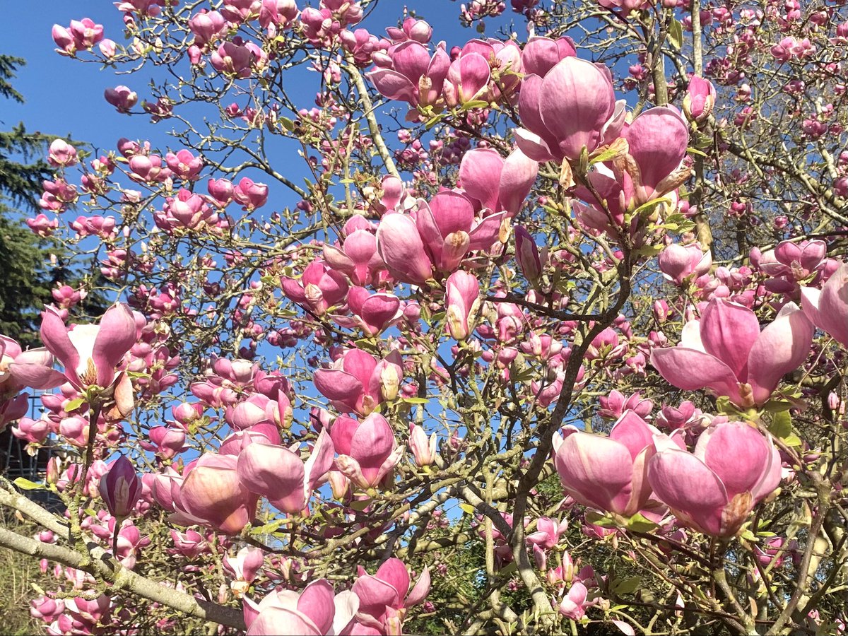 Ruth Wadey tweet media