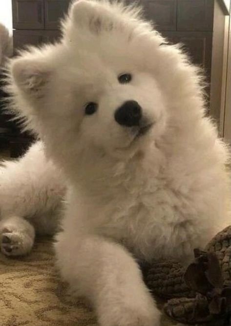 방방즈 tweet media