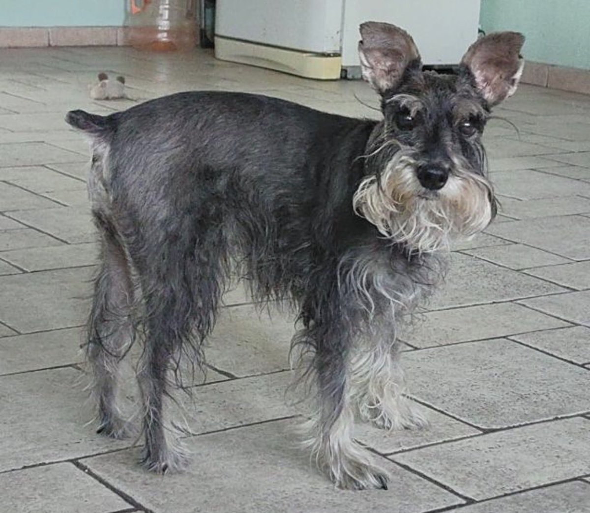 Luis | Vara Network | Vara.eth tweet media