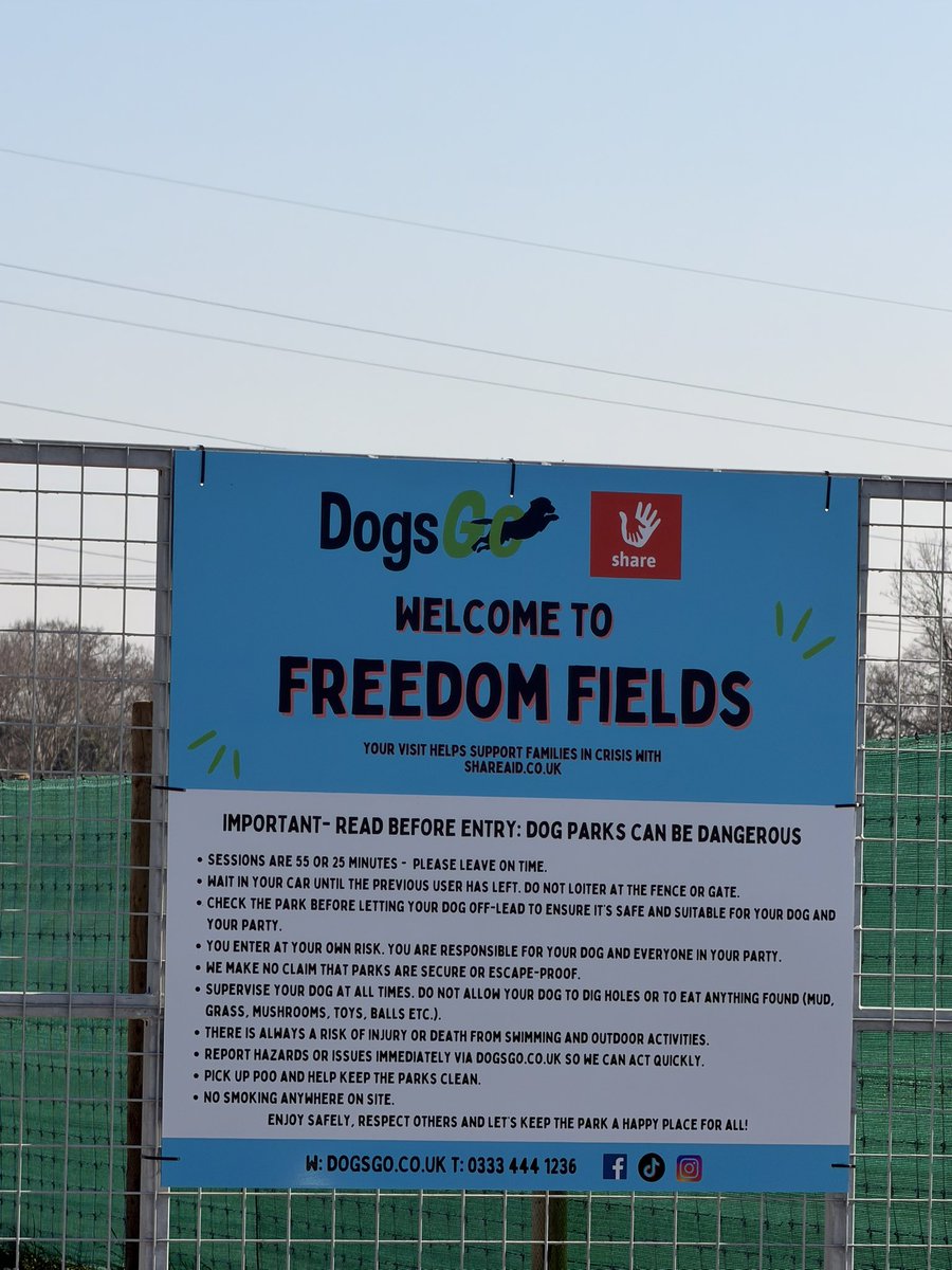 Adam Dandy tweet media