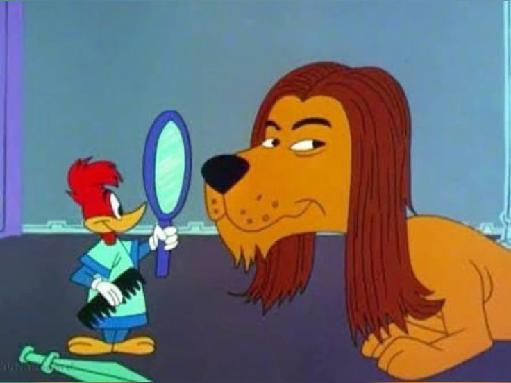 Daniel Silva tweet media