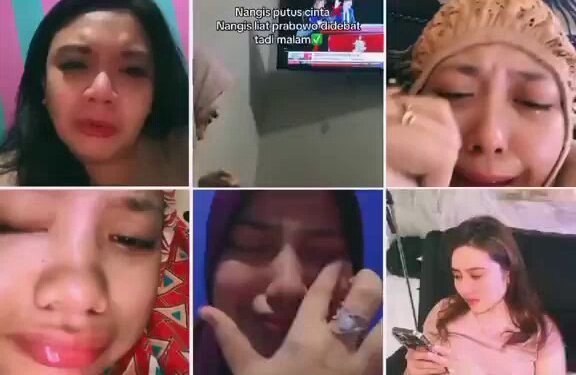 akun hewan | tapi bukan tweet media