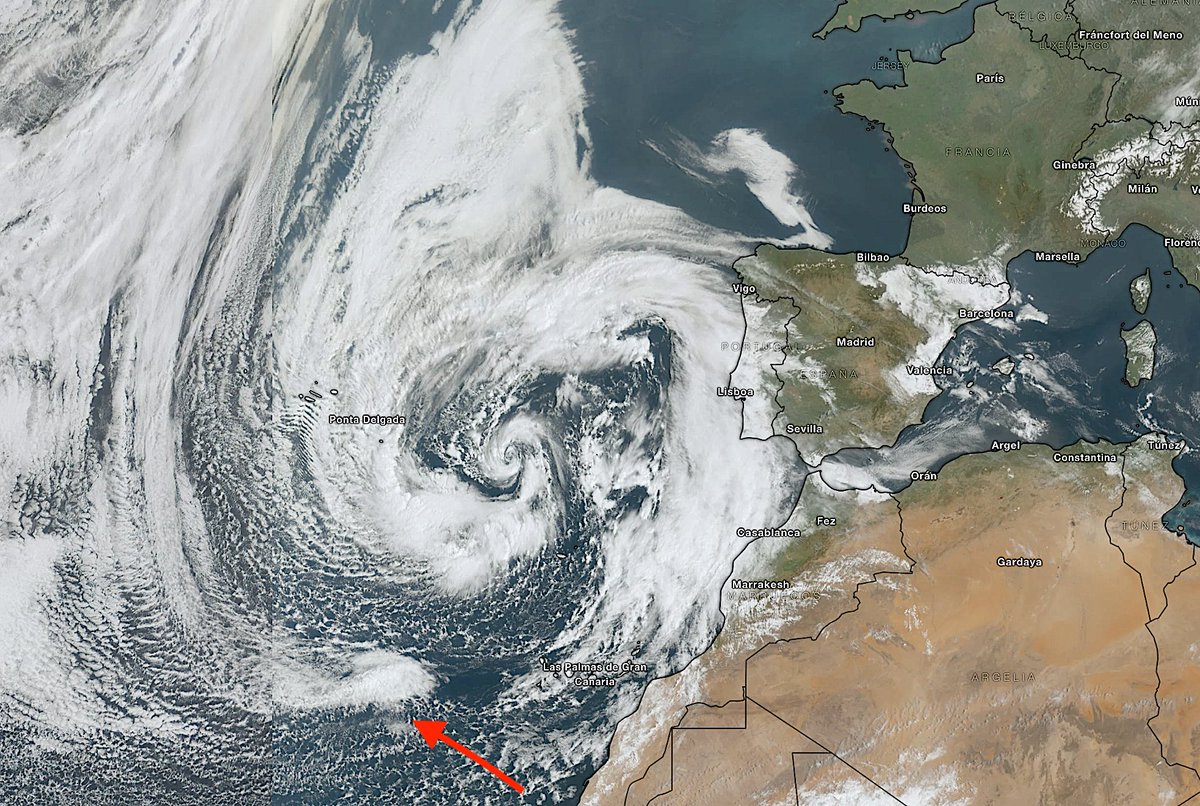 angel rivera tweet media