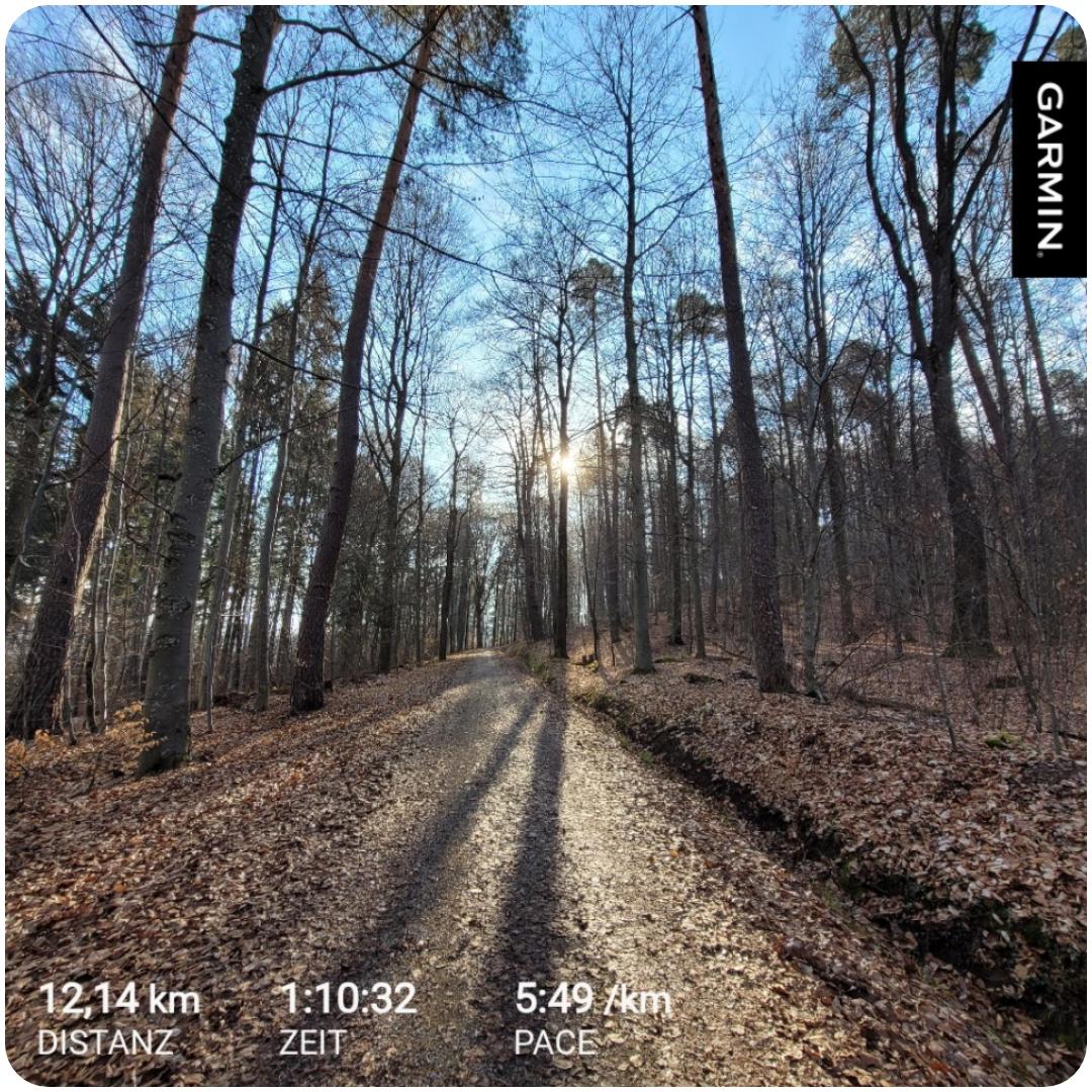 Andi Running tweet media