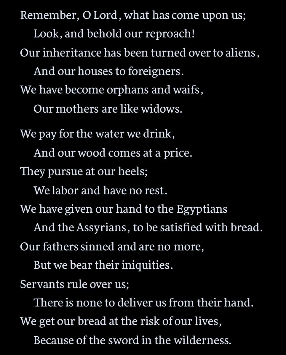 bendell werry 🌲 tweet media