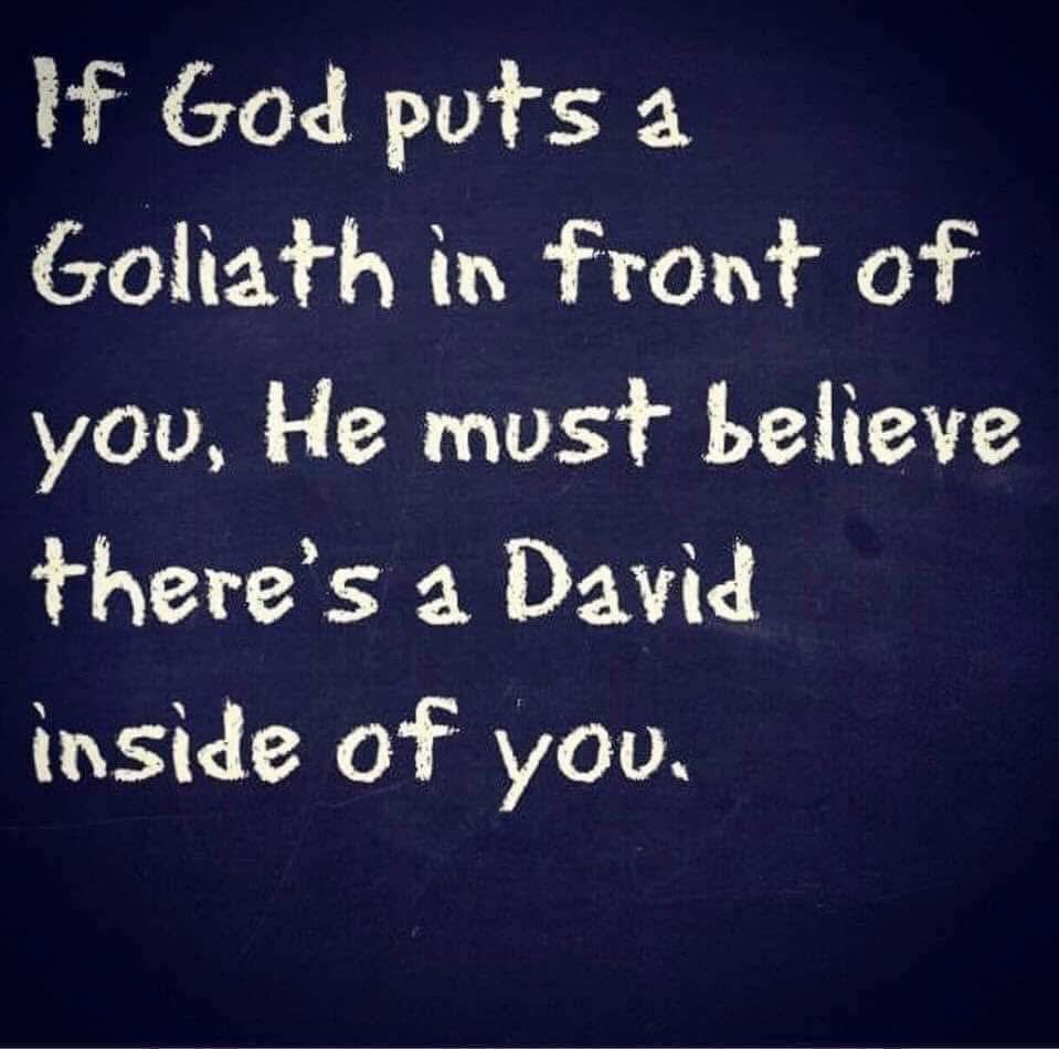 John P Erwin III MD MBA MACC (#BigPoppy ) tweet media