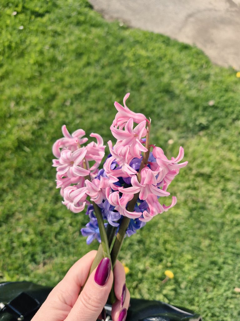 Neda🪻 tweet media