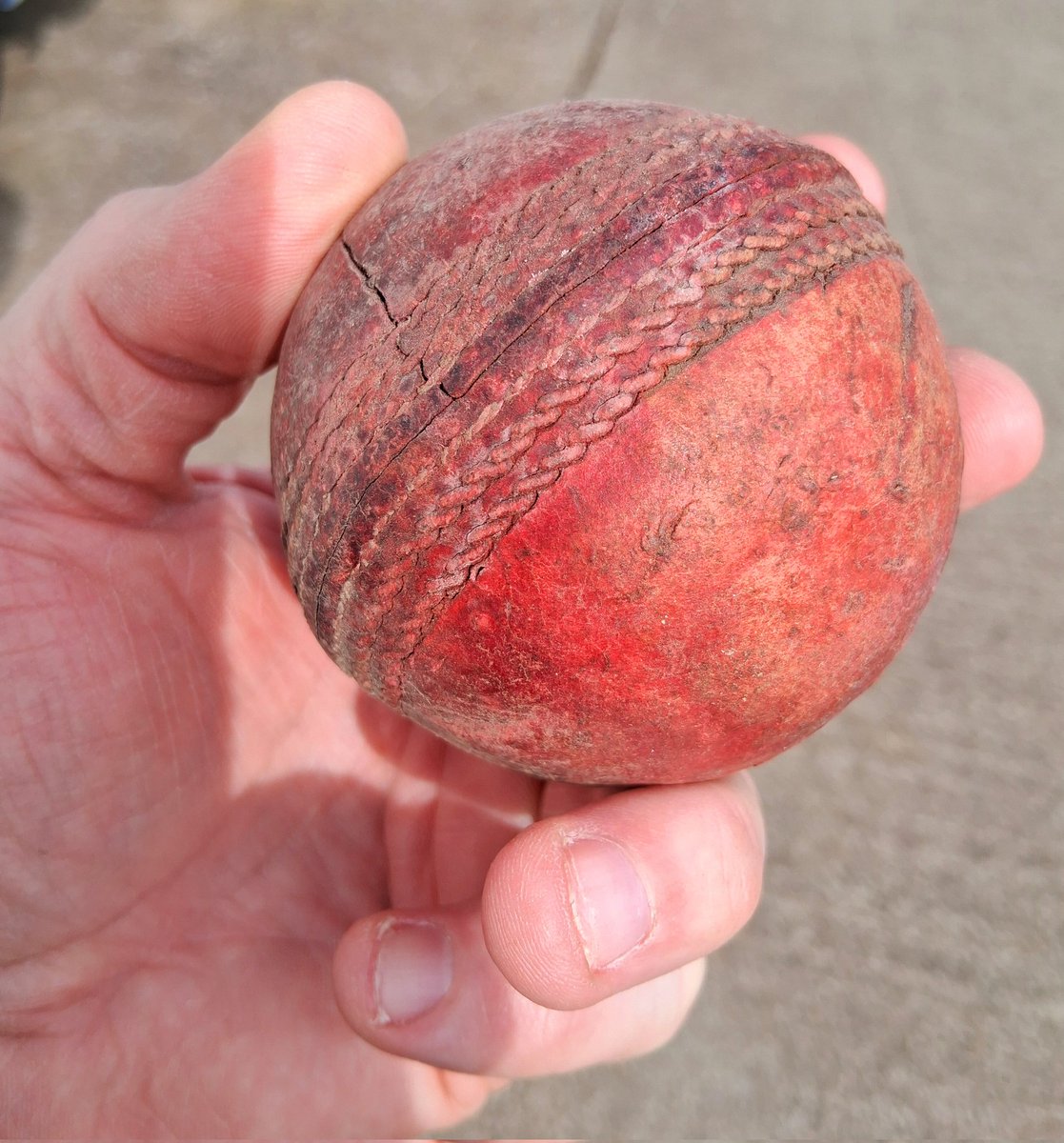 Tony Steele tweet media