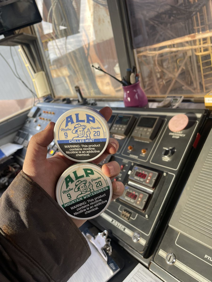 Brizz-Chan (Mr drive) tweet media