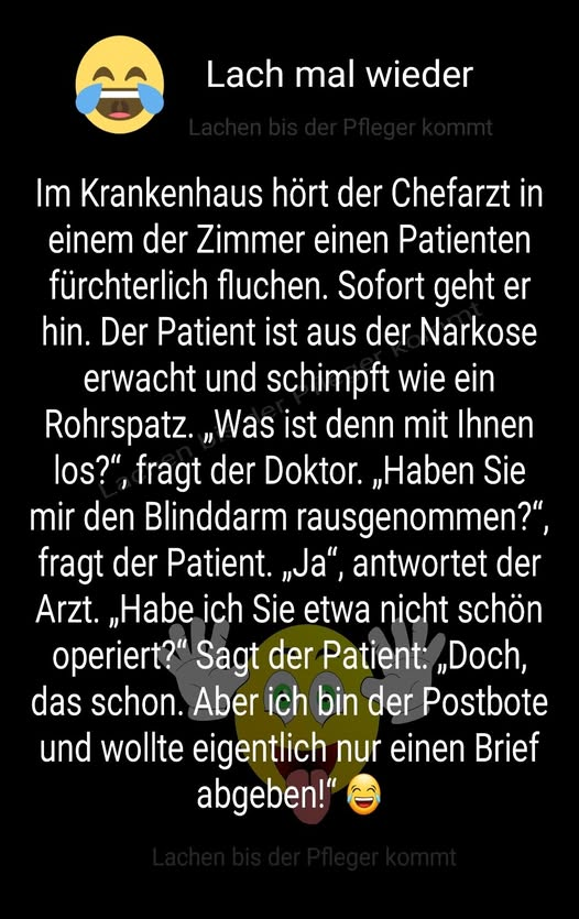 sigrid seeger tweet media