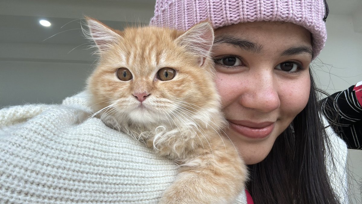 akanshya 🪷 ✴︎ tweet media