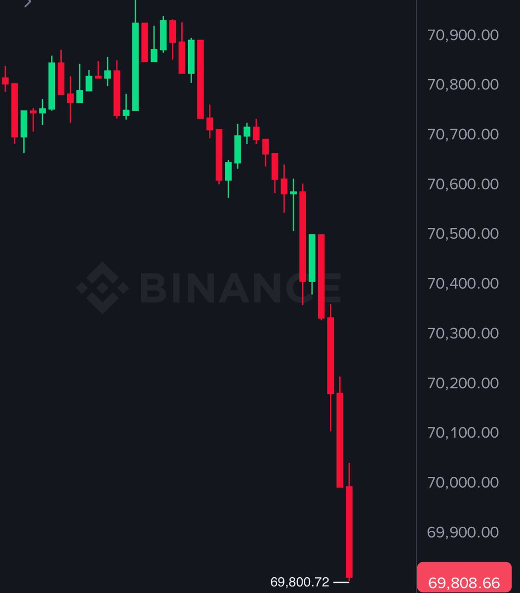 Sir Doge of the Coin ⚔️ tweet media