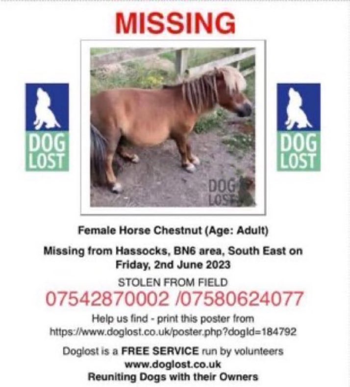 Lisa Clare Read 💙 tweet media